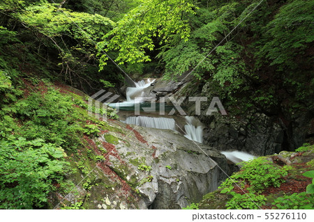 Nishizawa Valley Mie Falls 55276110