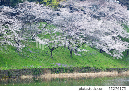 Cityscape Tokyo Kudan Cityscape Tokyo Kudan 55276175