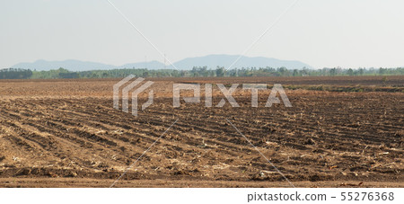 aerial view of sugar cane plantation aerial view of sugar cane plantation 55276368