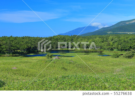 [北海道]知床五湖在晴朗的天氣下 55276638