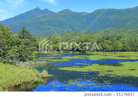 [Hokkaido] Shiretoko Five Lakes under sunny weather 55276657