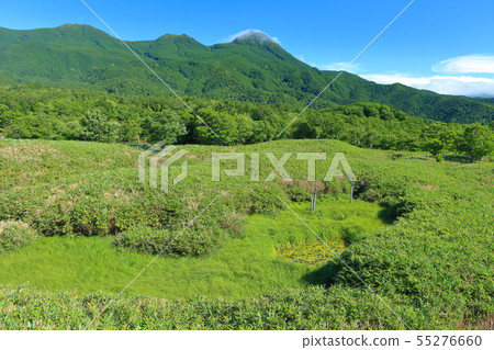 [北海道]仲夏知床山脈 55276660
