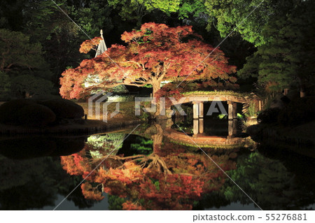 東京文京區被點燃的Rikugien 55276881