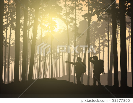 Two tourists, man and woman walking in the woods 55277800