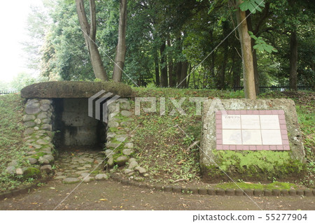 Nenodaya Temple Site Nenodaya Temple Site 55277904