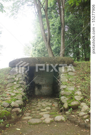 Nenodaya Temple Site Nenodaya Temple Site 55277906