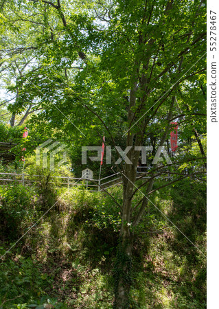 Ogawa Castle Tsumugi Motomaru trace near Gunma Prefecture Minakami Town Tsukiyono 55278467