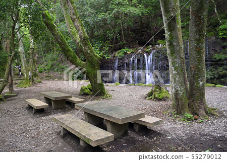 箱根小湧谷[神奈川縣]蛇河[夏季]千條瀑布 55279012