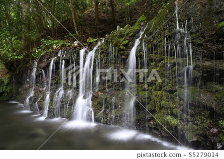 箱根小湧谷[神奈川縣]蛇河[夏季]千條瀑布 55279014