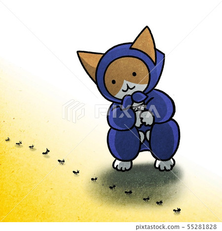 Observation of the procession of cat ninja ant (black ant) 55281828