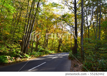 Autumn Route 102 55282442