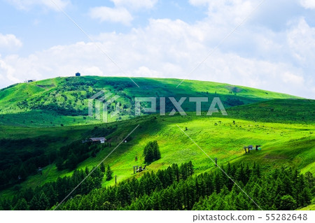 Landscape of Kuramayama Plateau (Summer): Looking at the mountain from the northern ear 55282648