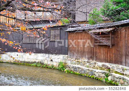 Autumn Kyoto Gion Shirakawa Autumn Kyoto Gion Shirakawa 55282848