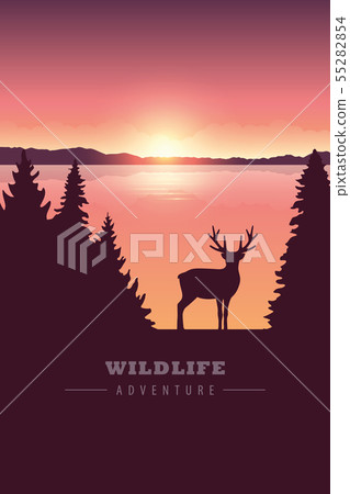wildlife adventure elk in the wilderness by the lake at sunset wildlife adventure elk in the wilderness by the lake at sunset 55282854