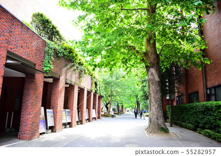 立教大學 立教大學 55282957