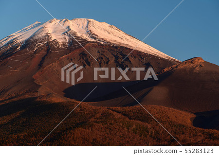 從靜岡縣菅野市Mizugatsuka公園出發的富士山 55283123