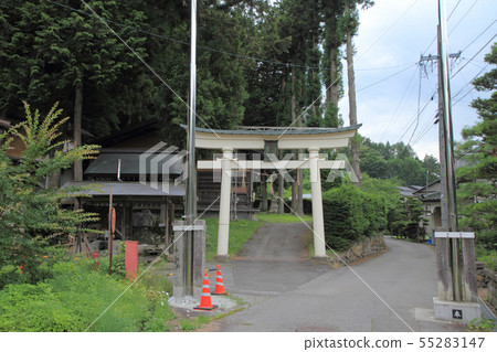 Wild wheat highway The road near the Inawashiro Suwa Shrine 55283147