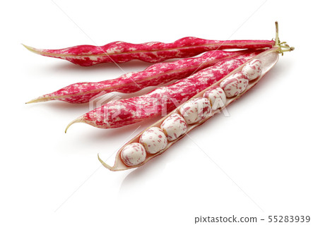 Fresh pinto beans isolated on white 55283939