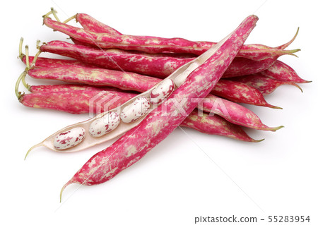 Fresh pinto beans isolated on white Fresh pinto beans isolated on white 55283954