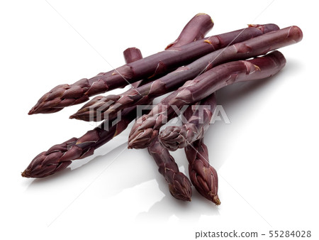 Purple passion asparagus isolated on white 55284028