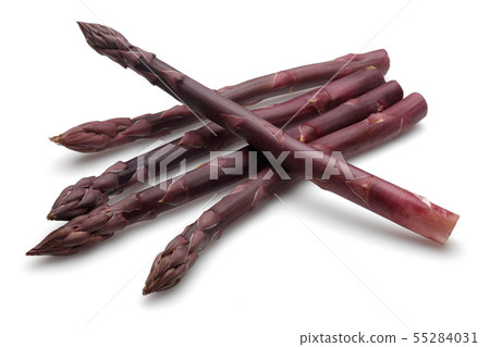 Purple passion asparagus isolated on white 55284031