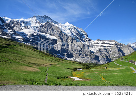 從Kleine Scheidegg站的草地邊緣的少女峰和Silverhorn山 55284213