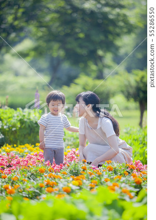 Gardening in parent and child 55286550