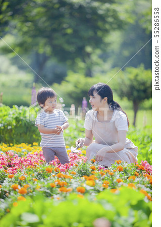在父母和孩子的園藝 55286558
