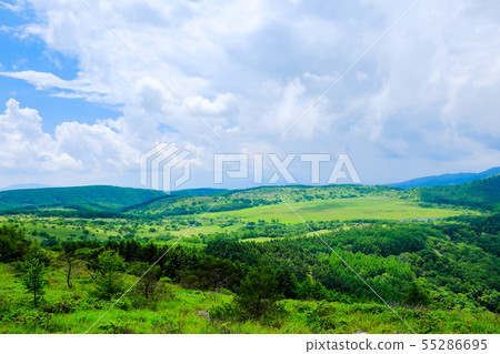 Kuramayama Kogen(夏季)景觀:斑馬山(Kurayama)的Yashima濕地景觀 Kuramayama Kogen(夏季)景觀:斑馬山(Kurayama)的Yashima濕地景觀 55286695