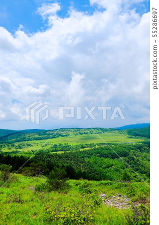 Kuramayama Kogen(夏季)景觀:斑馬山(Kurayama)的Yashima濕地景觀 Kuramayama Kogen(夏季)景觀:斑馬山(Kurayama)的Yashima濕地景觀 55286697
