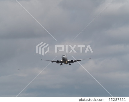 Jetliner landing at Osaka International Airport Jetliner landing at Osaka International Airport 55287831