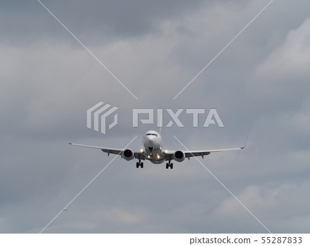 噴氣式客機降落在大阪國際機場 噴氣式客機降落在大阪國際機場 55287833