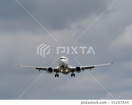 噴氣式客機降落在大阪國際機場 噴氣式客機降落在大阪國際機場 55287834