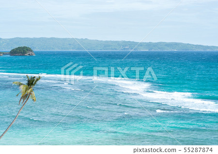 Palm Trees And Blue Ocean And Waves Palm Trees And Blue Ocean And Waves 55287874