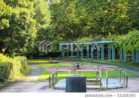 久喜書部公園 55288165