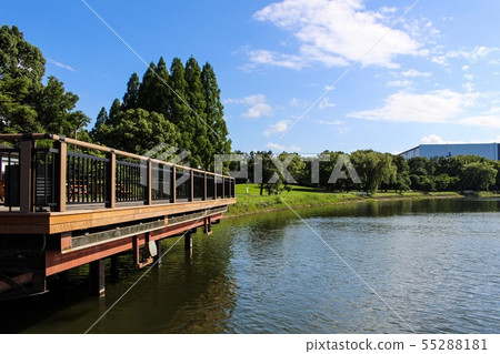Kuki Shobu Park 55288181