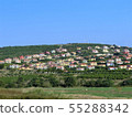 House  55288342
