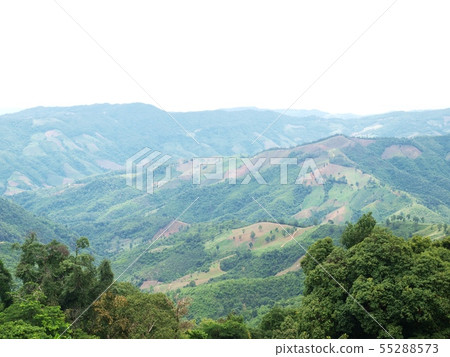 landscape view with green tropical mountain & hill 55288573