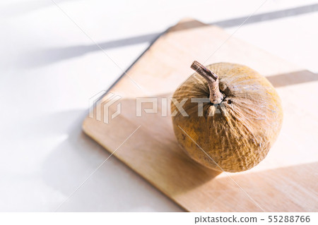Santol or Sandoricum koetjape or wild mangosteen 55288766