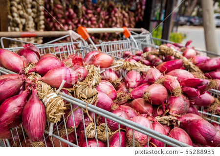 Tropea city, red onion 55288935