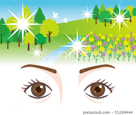 Eye symptoms Light vision 55289444