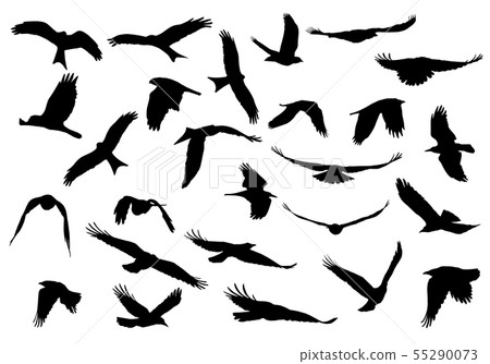 Set of realistic vector illustrations of Set of realistic vector illustrations of 55290073