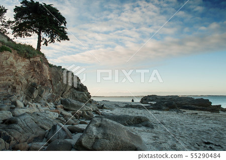 Panorama of rocks on the beach on sunset Panorama of rocks on the beach on sunset 55290484
