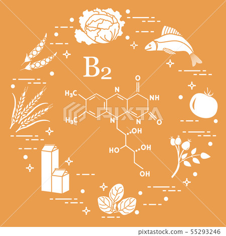 Foods rich in vitamin B2 Fish, peas and other. Foods rich in vitamin B2 Fish, peas and other. 55293246
