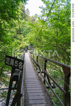 在Oshira河谷的吊橋 在Oshira河谷的吊橋 55294348