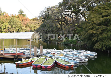 小船池塘在秋天 小船池塘在秋天 55294759