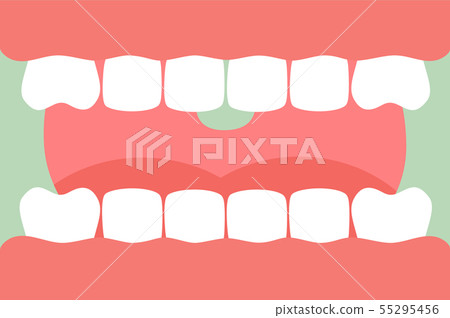open mouth with healthy teeth and tongue open mouth with healthy teeth and tongue 55295456