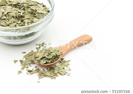 印楝葉，印楝葉：印楝葉 55295588