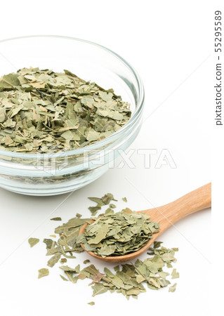 印楝葉,印楝葉:印楝葉 印楝葉,印楝葉:印楝葉 55295589