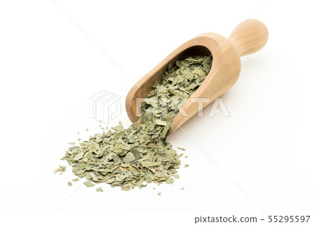 印楝葉，印楝葉：印楝葉 55295597